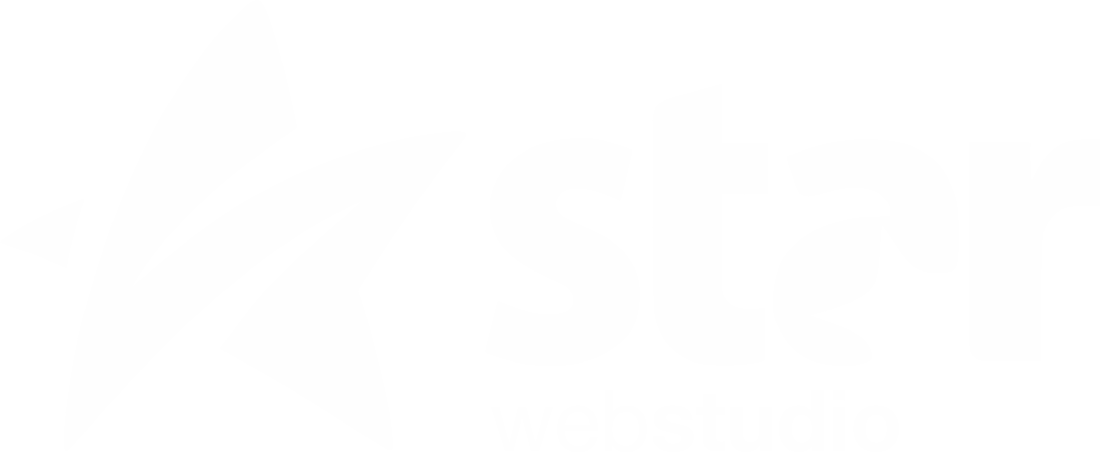 Star Web Studio